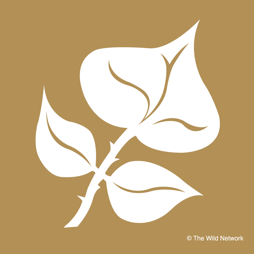 Eco-friendly Accommodation South Africa Eco-friendly accommodation South Africa
