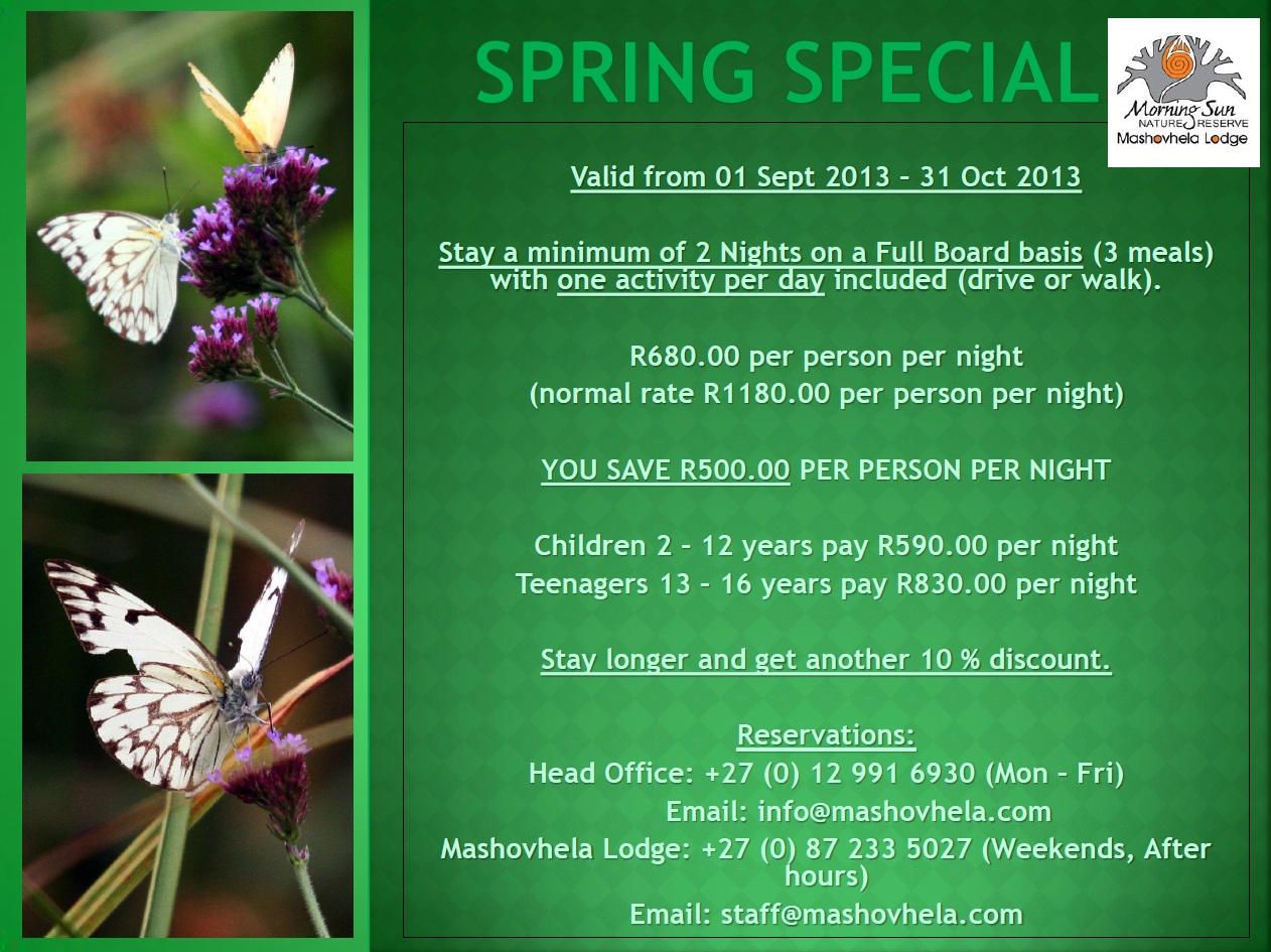 SpringSpecial