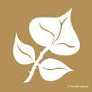 Wilderness Foundation; Gold Leaf