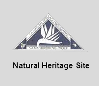 natural